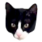 Item logo image for Chrome Cat