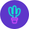 Item logo image for Lasso for Amazon